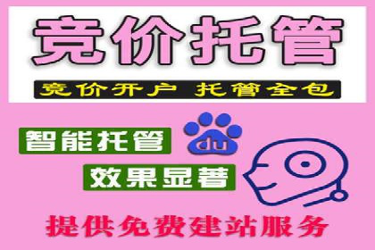 竞价排名失败案例：原因与教训
